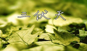 只要记住这六点，便可以安度三伏天！