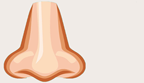 守护鼻腔健康 别让鼻腔健康“亮红灯”