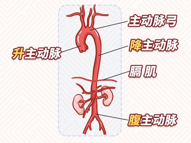 下载 (1)